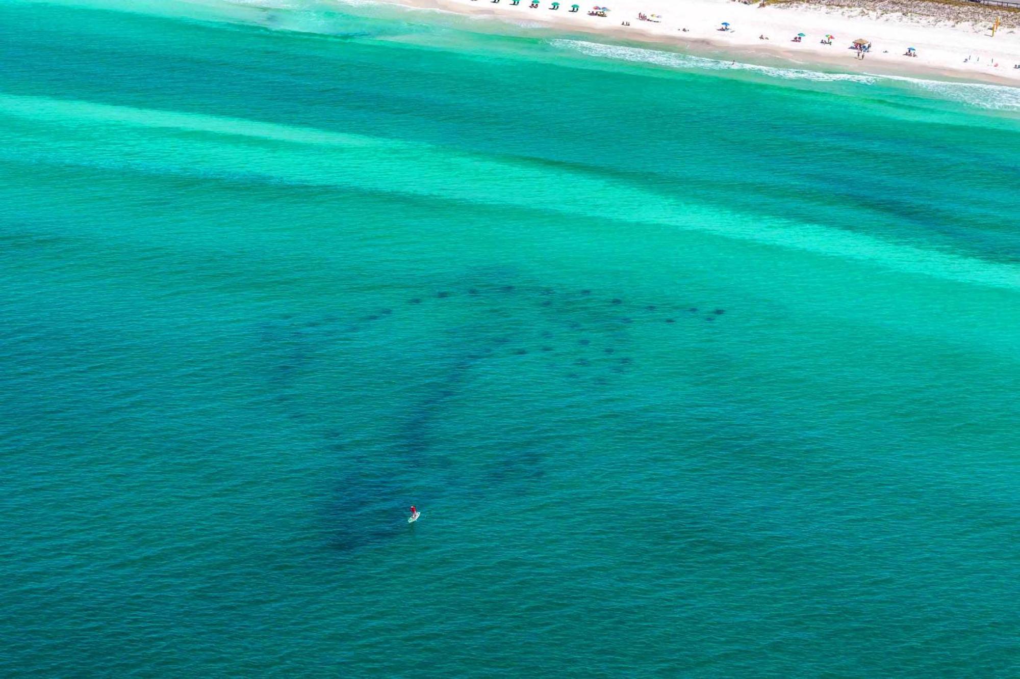 Beach Resort 310 Destin Buitenkant foto